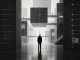 Black-and-white conceptual image representing systems, observation and internal functional structures.